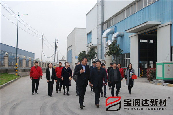 民盟市委经济支部、统战部领导莅临宝润达参观考察
