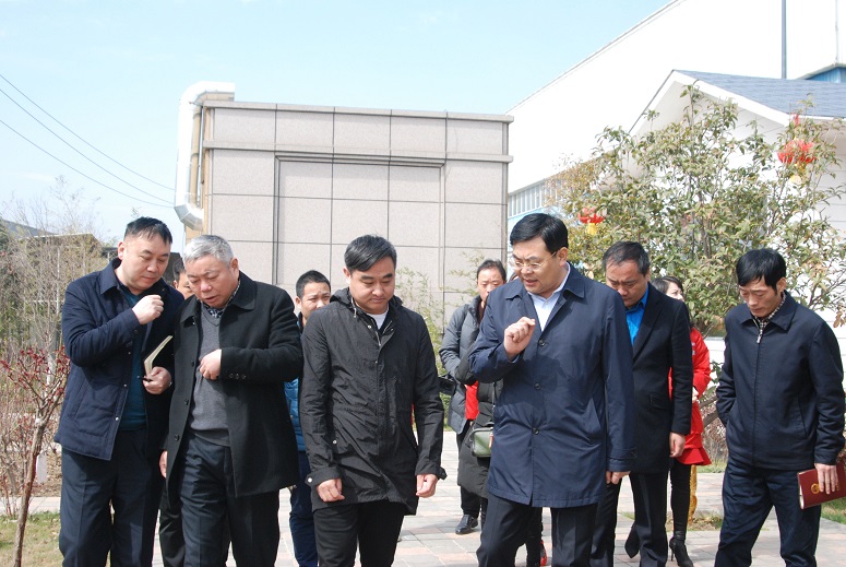 【要闻】市长张忠民一行莅临宝润达视察指导工作