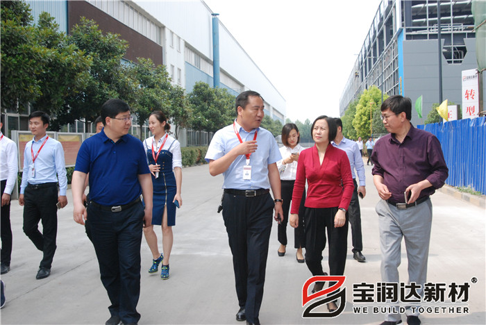 【聚焦】张雪飞市长及省住建厅领导一行来访宝润达参观